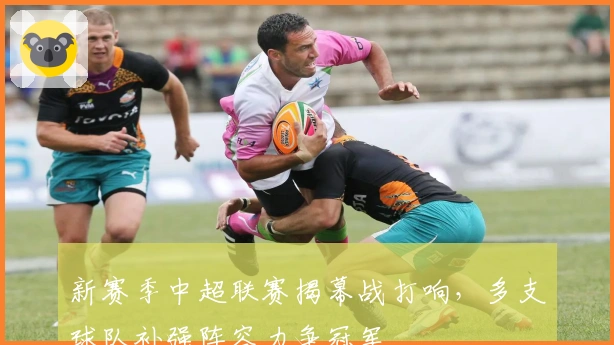 新赛季中超联赛揭幕战打响，多支球队补强阵容力争冠军